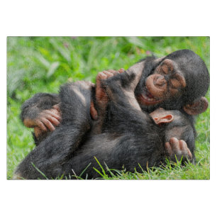 Cutest Baby Animals Two Young Chimpanzees Schneidebrett