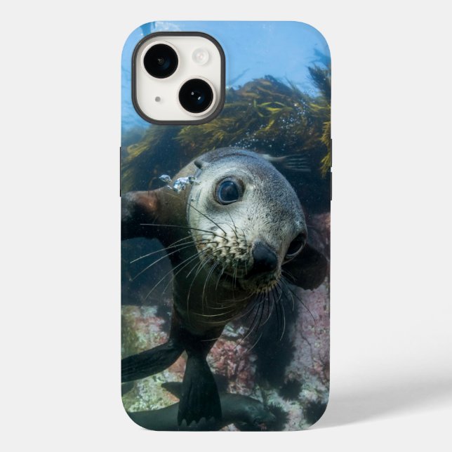 Cutest Baby Animals | Underwater Cape Fur Seal Case-Mate iPhone Hülle (Rückseite)