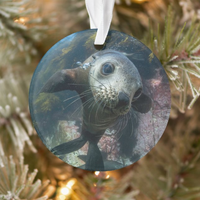 Cutest Baby Animals | Underwater Cape Fur Seal Ornament (Baum)