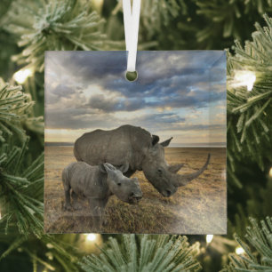 Cutest Baby Animals   White Rhino & Calf Ornament Aus Glas