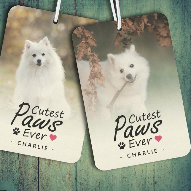 Cutest Paws Ever Pet Photo Dog Lover Keepsake Autolufterfrischer (Von Creator hochgeladen)