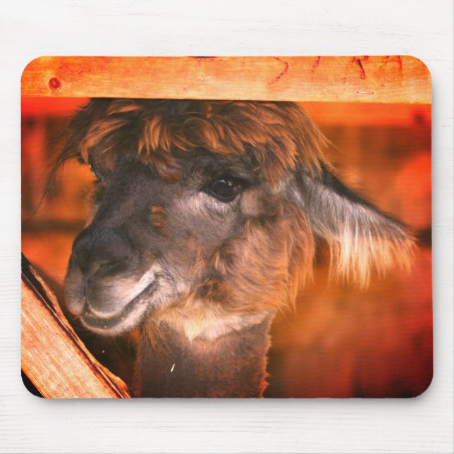 Cutey Llama Animal Mousepad (Vorne)