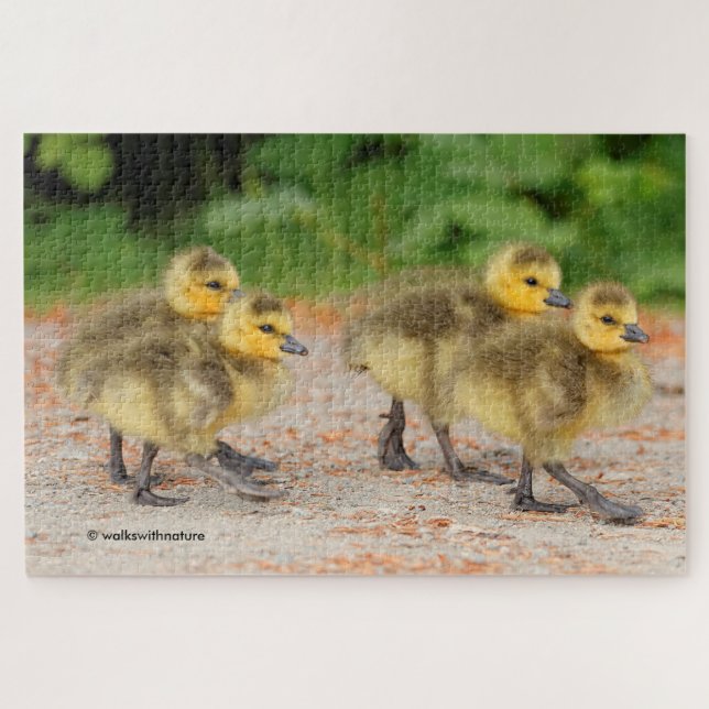 Cutness on Parade: Goose Goslings Puzzle (Horizontal)