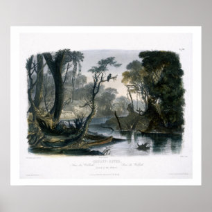 Cutoff River, Zweig der Wabash, Platte 8 von V Poster