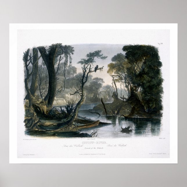 Cutoff River, Zweig der Wabash, Platte 8 von V Poster (Vorne)