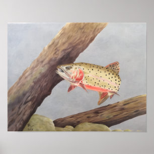 Cutthroat-Forelle Poster