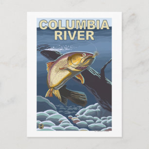 Cutthroat Trout Cross-Section Postkarte