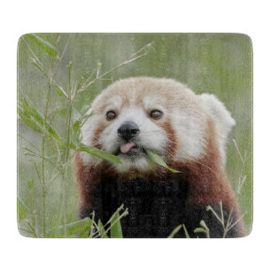 Cutting Board Foto Rote Panda , Tiere 0216. Schneidebrett