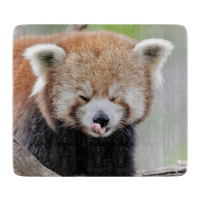 Cutting Board Foto Rote Panda , Tiere 0218. Schneidebrett (Vorderseite)