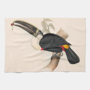 Cuvier-Tukan-Druck: Vintage Tropischer Vogel Geschirrtuch