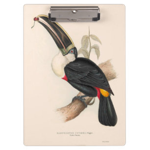 Cuvier-Tukan-Druck: Vintage Tropischer Vogel Klemmbrett