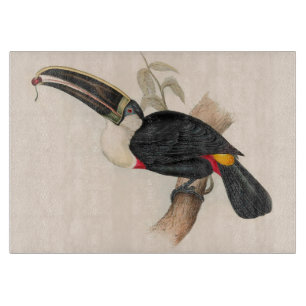 Cuvier-Tukan-Druck: Vintage Tropischer Vogel Schneidebrett