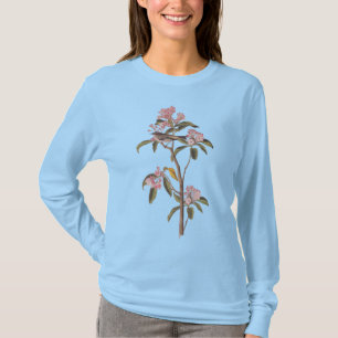 Cuvier's Kinglet Audubon Bird on Pink Calico-Bush T-Shirt