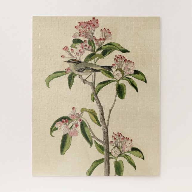 Cuvier's Kinglet (Cuvier's Regulus) Audubon Birds Puzzle (Vertikal)