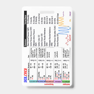 CVICU SICU ICU Badge Buddy Ausweis