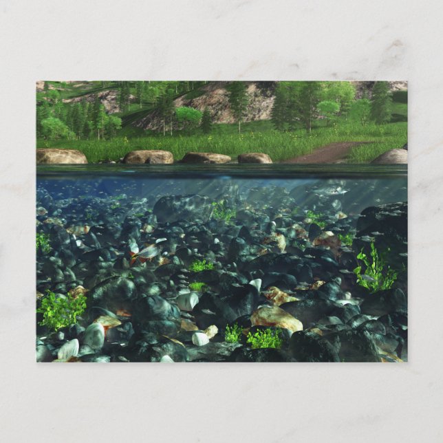 Cwm River Postcard Postkarte (Vorderseite)