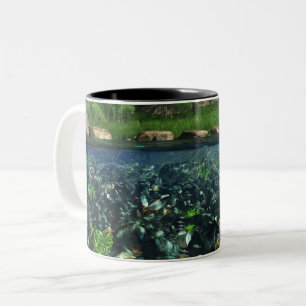 Cwm River Tasse