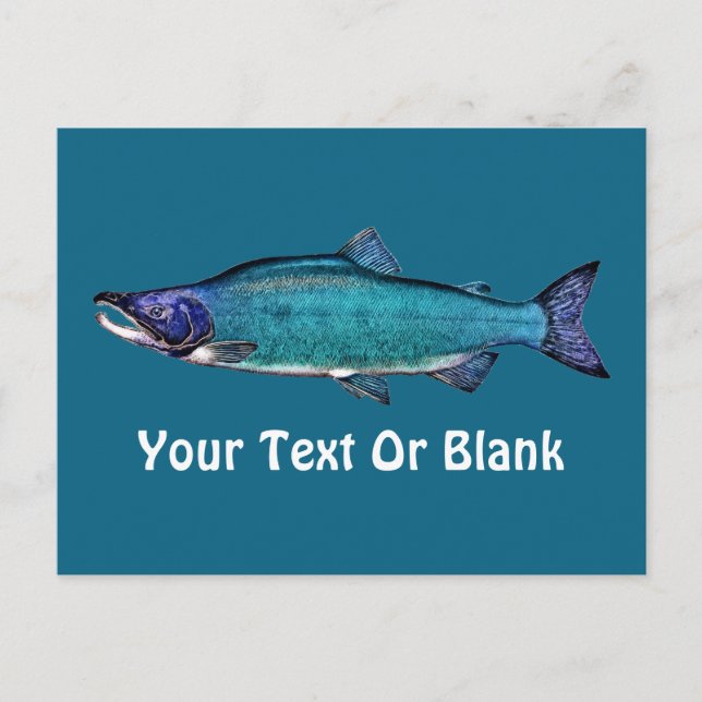 Cyanotische Lachse Postkarte (Vorderseite)