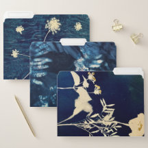 Cyanotype-Dateiordner-Set