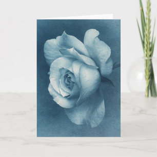 Cyanotypische Rose Karte