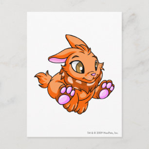 Cybunny Orange Postkarte