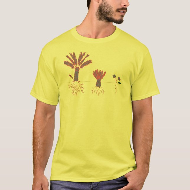 CYCAD 3X Shirt (Vorderseite)