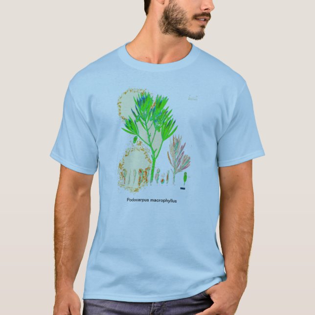 CYCAD Podocarpus-Druck-Shirt T-Shirt (Vorderseite)
