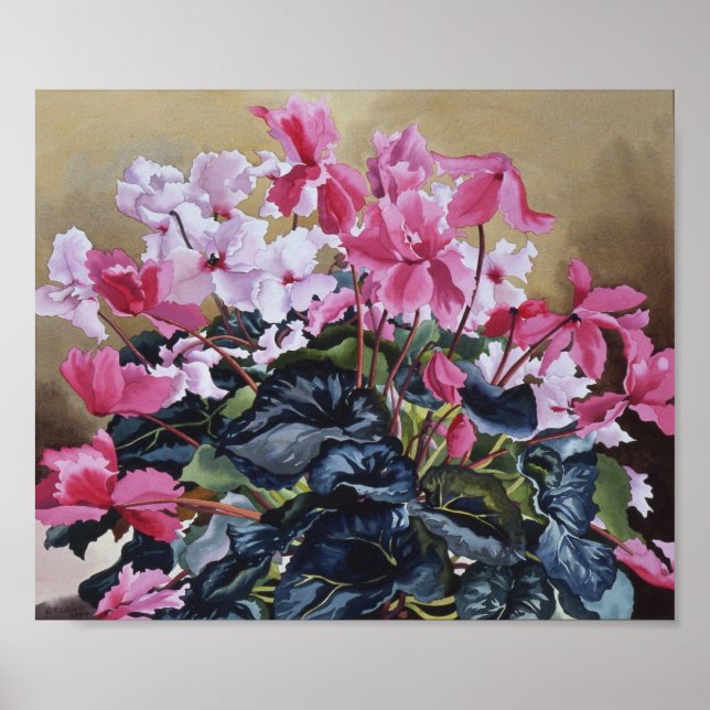 Cyclamen 2004 poster (Vorne)