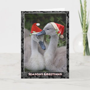Cygnet Weihnachtskarte Feiertagskarte