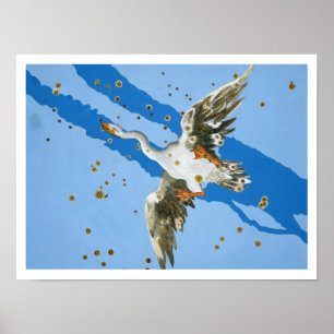 Cygnus-Sternbild, from 'Uranometria' Writte Poster