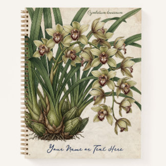 Cymbidium lowianum Orchidee Notizbuch