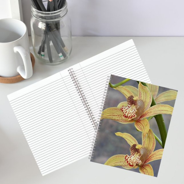 Cymbidium Orchids Blumenbuch Notizbuch (In Situ)
