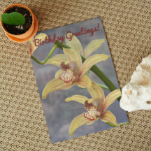 Cymbidium Orchids Floral Geburtstag