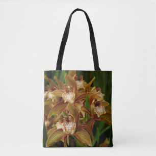 Cymbidium tracyana