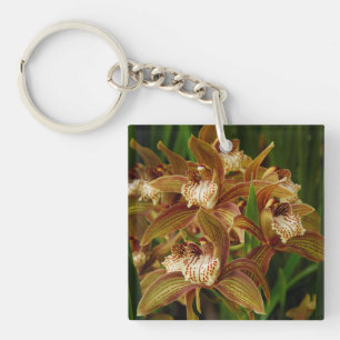 Cymbidium tracyana schlüsselanhänger