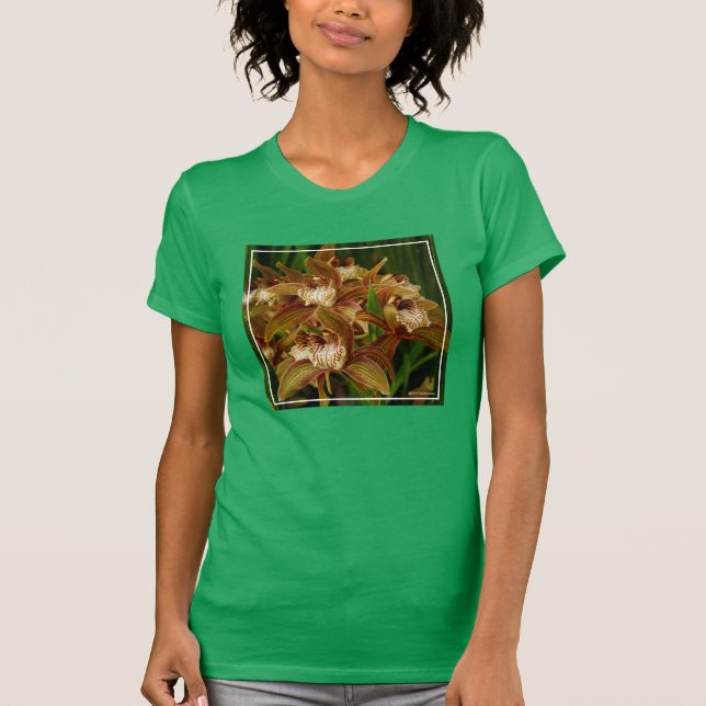 Cymbidium tracyanum T-Shirt (Vorderseite)