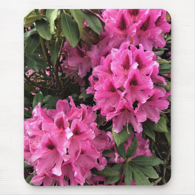 Cynthia Rhododendrons, Oregon Mousepad (Vorne)