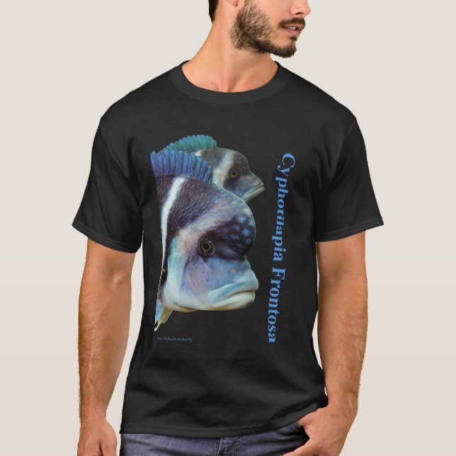 Cyphotilapia frontosa T-Shirt (Vorderseite)