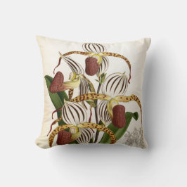 Cyprepedium Stonei Vintag Lindenia Orchid Kissen