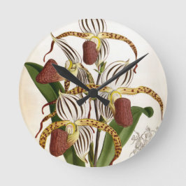 Cyprepedium Stonei Vintag Lindenia Orchid Runde Wanduhr