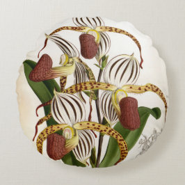 Cyprepedium Stonei Vintag Lindenia Orchid Rundes Kissen