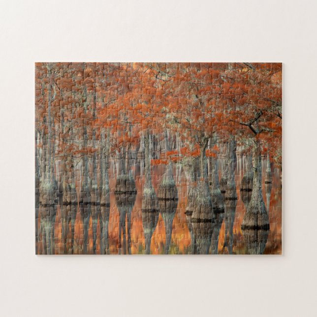 Cypress-Bäume| George Smith Staat Park, Georgien Puzzle (Horizontal)