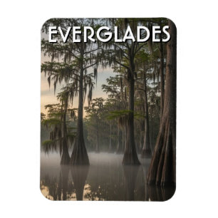 Cypress-Dom Everglades-Nationalpark Florida Magnet