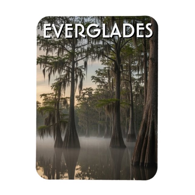 Cypress Dome Everglades National Park Florida Magnet (Vertikal)