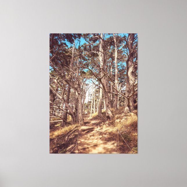 Cypress Forest Leinwanddruck (Vorderseite)