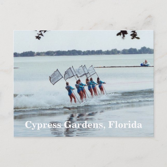 Cypress Gardens Florida Girls Wasser Skifahren Pos Postkarte (Vorderseite)