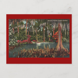 Cypress Gardens Vintag Postcard Postkarte