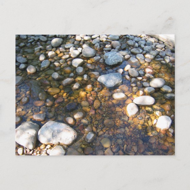 Cypress Hills, Alb. Kanada Postkarte (Vorderseite)