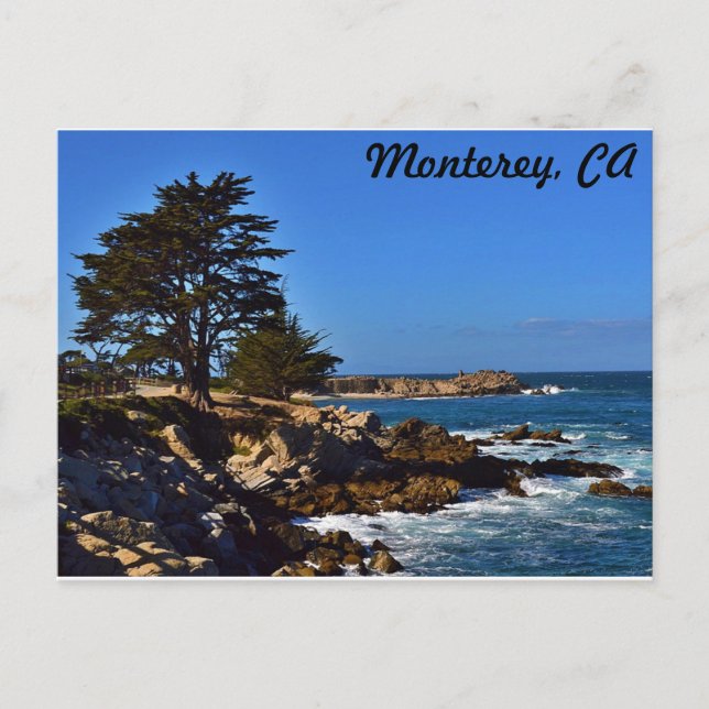 Cypress in Monterey Postkarte (Vorderseite)