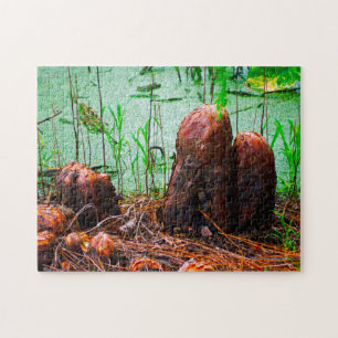 Cypress Knees Bayou Louisiana. Puzzle